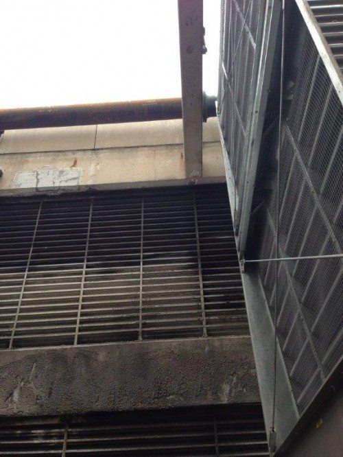 iPhone picture & videos 1028